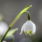 Nyhedsbrev februar