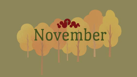 Nyhedsbrev november 2025