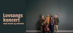 Koncert med Arvid og orkester