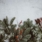 Nyhedsbrev december